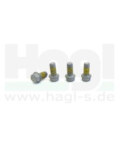 befestigungsschrauben-trw-4-stueck-m6-x-1-gesamtlaenge-18-5-mm-schaftlaenge-13-mm-pass.jpg