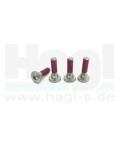 befestigungsschrauben-trw-4-stueck-m8-x-1-25-gesamtlaenge-33-2-mm-schaftlaenge-30-mm-p.jpg