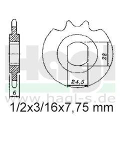 kettenritzel-12-zaehne-esjot-1-2-x-3-16-415-260-12.jpg