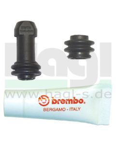 lagersatz-brembo-fuer-zange-pf30-32-pf34a-b-pf2x28-122474614.JPG